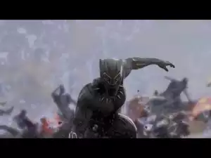 Video: BLACK PANTHER - All Fight Scenes Compilation (2018)